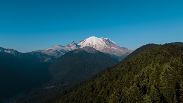 Beyond the Clinic Walls: Deconstructing Cascadia Garlington Health Center’s Impact