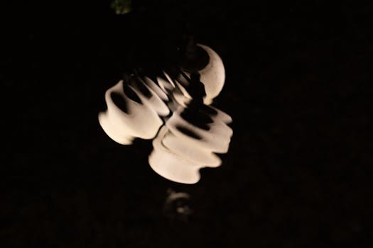 Unraveling Rhode Island’s Stance: What “Common Law Marriage” Really Means (and Doesn’t Mean) in the Ocean State