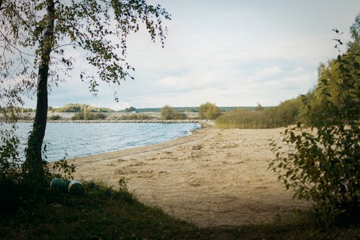 Beyond the Books: Unveiling the Heartbeat of Wentworth Institute of Technology Merch