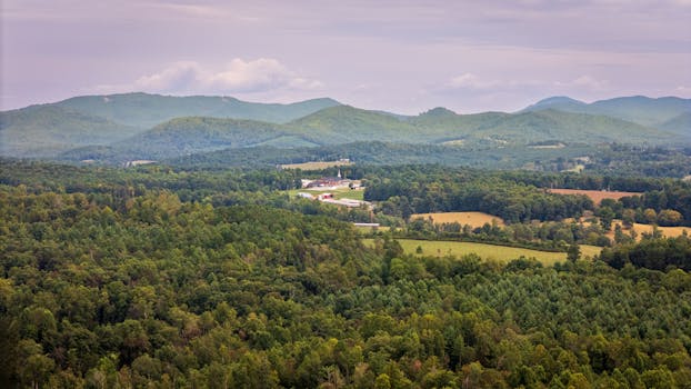 Elevating Your Escape: Unpacking the Punta Cana Presidential Suites Lifestyle