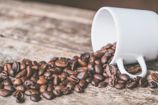 Unlocking the Sensory Core: Beyond the Hype of Aroma Lifestyle
