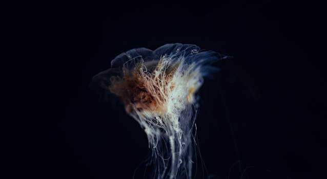 Beyond the Surface: Cultivating Your Deep Centered Mental Health