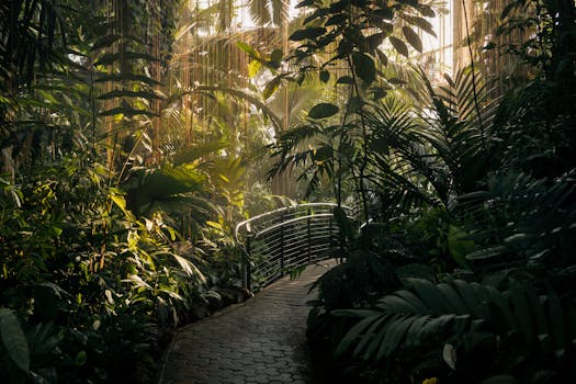 Atlanta’s Franchise Scene: More Than Just Peaches and Hotlanta